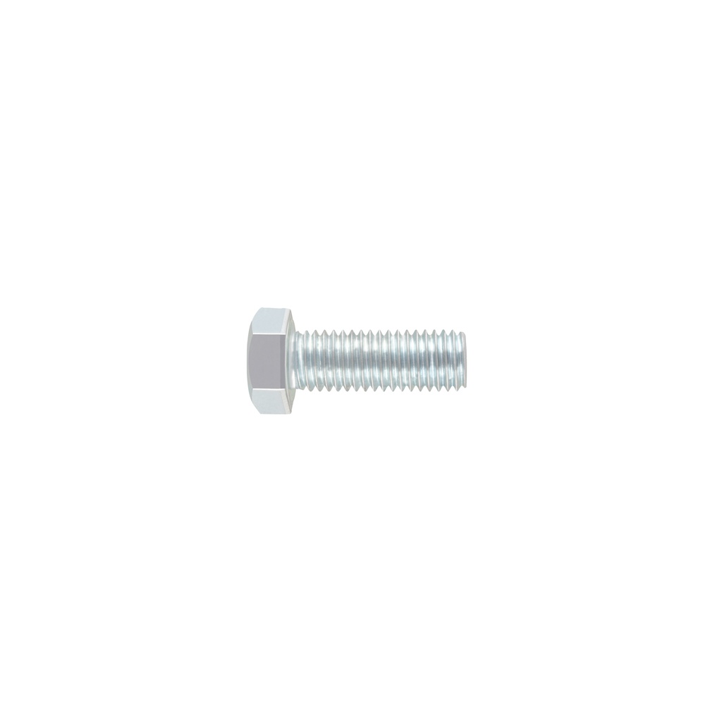 TORM-5/8X1-3/4 | Bolsa con 10 tornillos 5/8' x 1-3/4' tipo máquina, FIERO