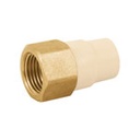 CPVC-641 | Adaptador hembra de CPVC 1/2' con inserto metálico, Foset