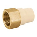 CPVC-644 | Adaptador hembra de CPVC 1-1/4' con inserto metálico, Foset