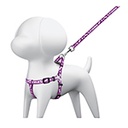 COPE-10 | Paquete de 12 correas con pechera para perro, 1 cm ancho